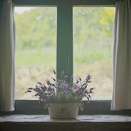 Rural Medulas Haus 1- Fuer 4 Pax Belegt- By Interhome Apartmán